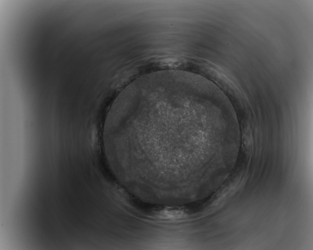 X0000094940270200712061237