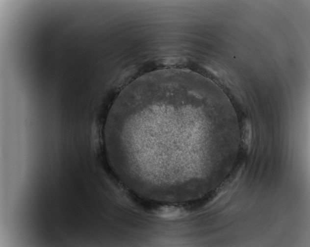 X0000094940272200712061237