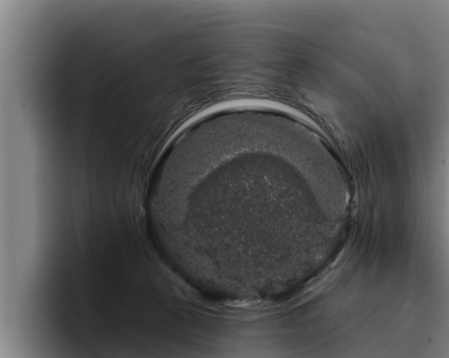 X0000094940273200712061237