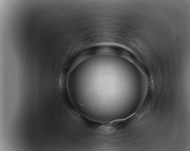 X0000094940280200712061237