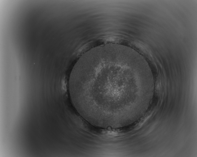 X0000094940282200712061237