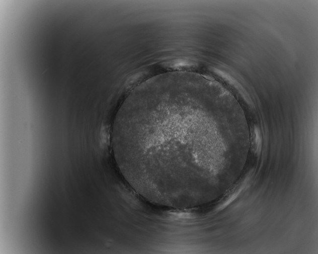 X0000094940284200712061237