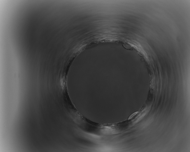 X0000094940285200712061237