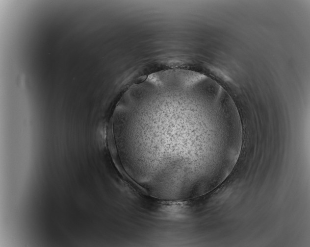 X0000094940288200712061237