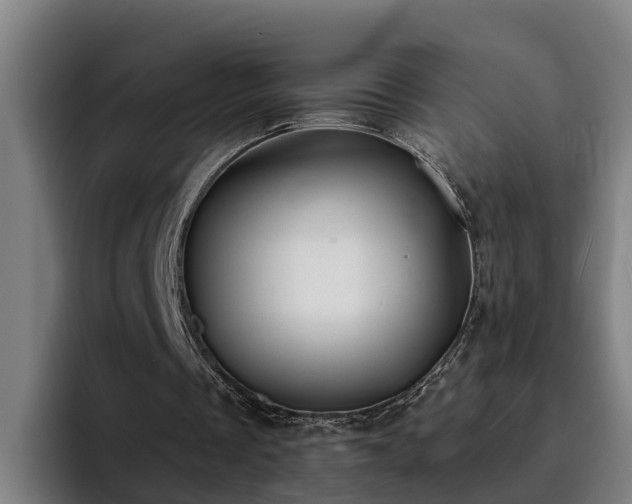 X0000094940289200712061237