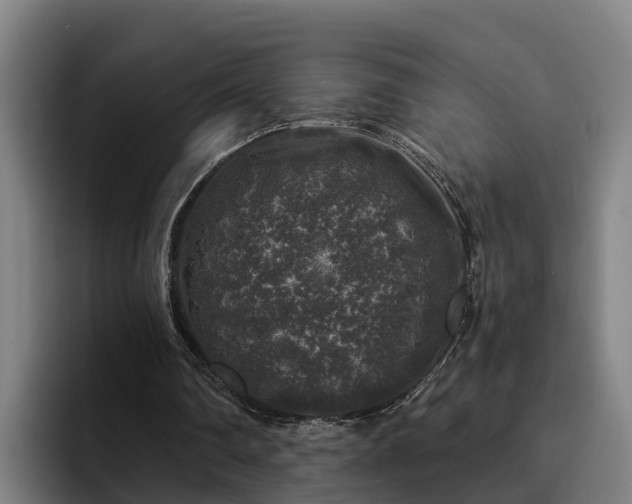 X0000094940290200712061237