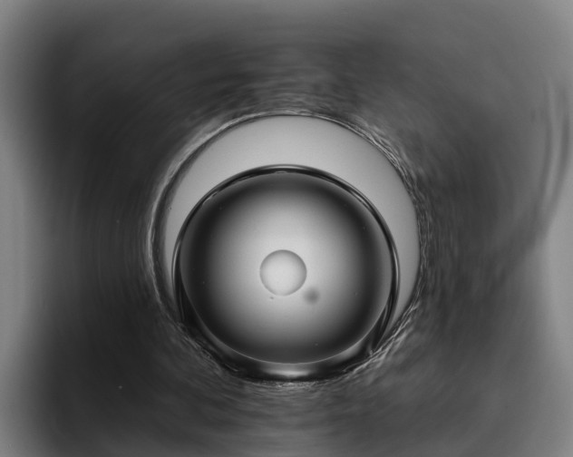 X0000094940292200712061237