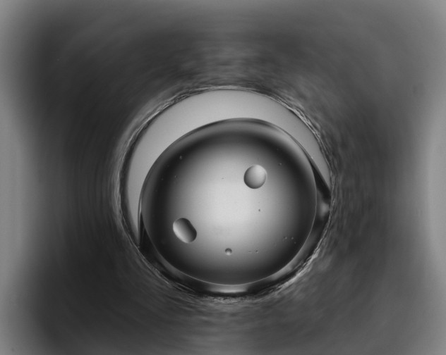 X0000094940293200712061237