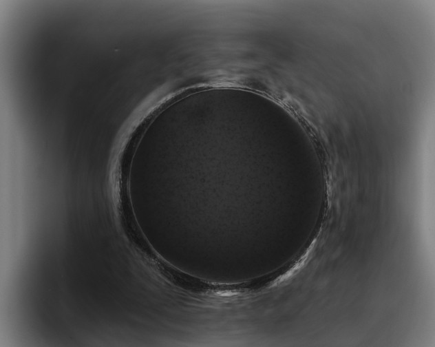 X0000094940295200712061237