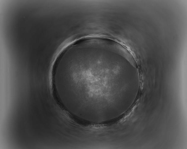 X0000094940296200712061237