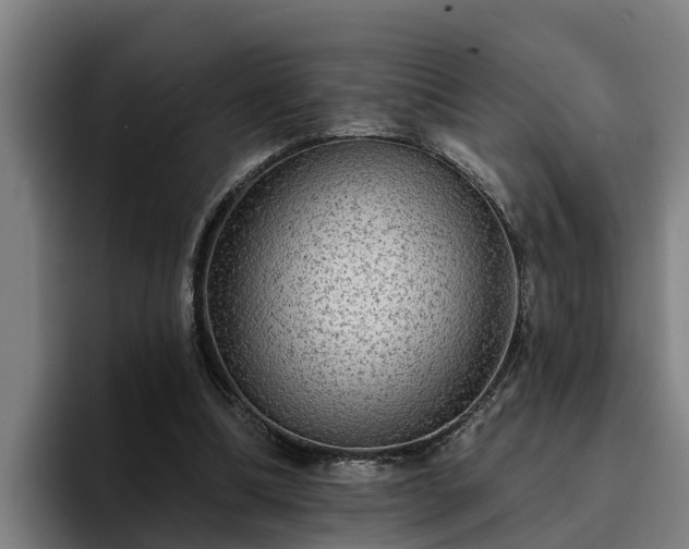 X0000094940298200712061236