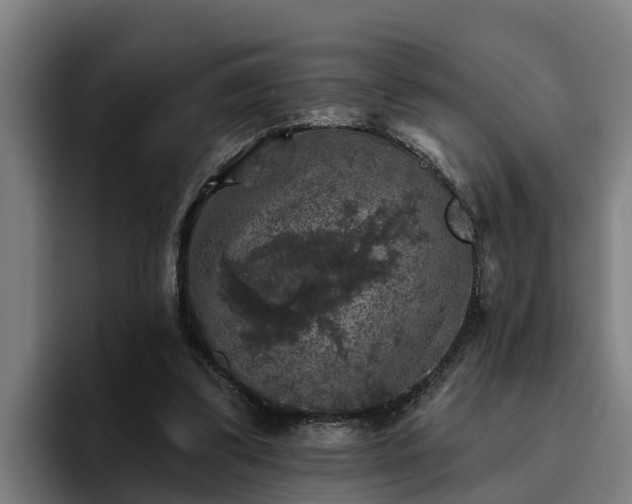 X0000094940299200712061236