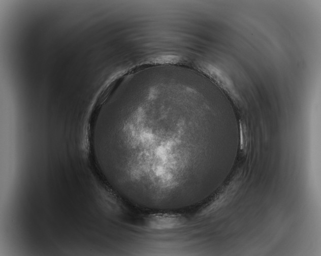 X0000094940300200712061236