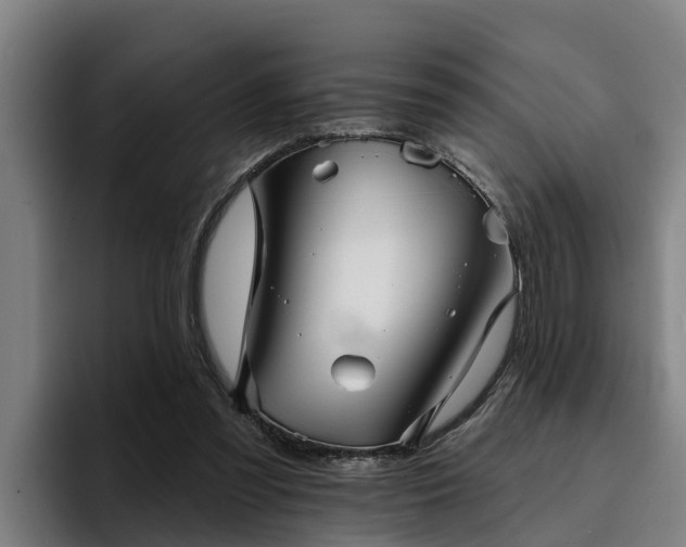 X0000094940301200712061236