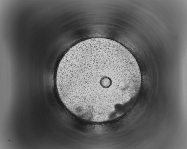 X0000094940302200712061236