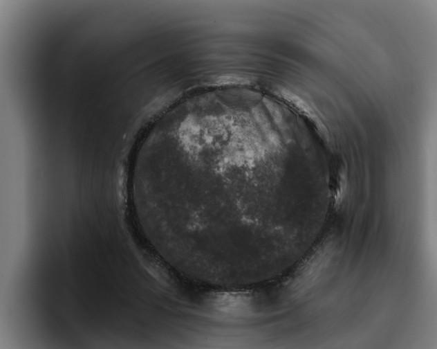 X0000094940303200712061236