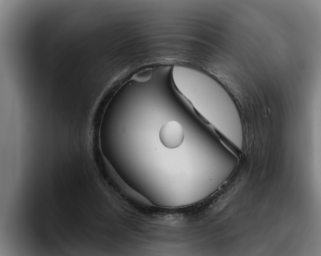 X0000094940304200712061236