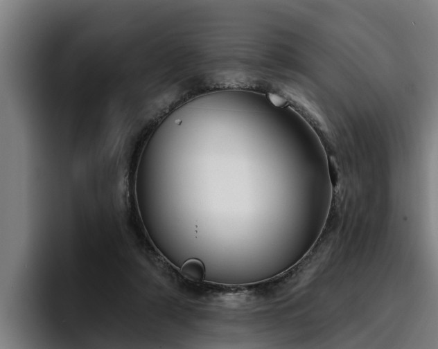 X0000094940306200712061236