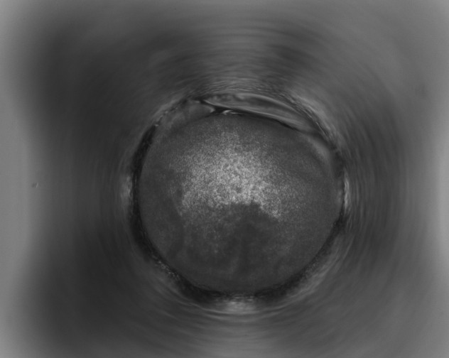 X0000094940308200712061236