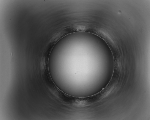 X0000094940311200712061236