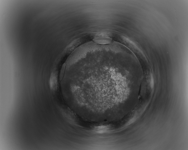 X0000094940312200712061236