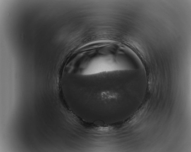 X0000094940314200712061236