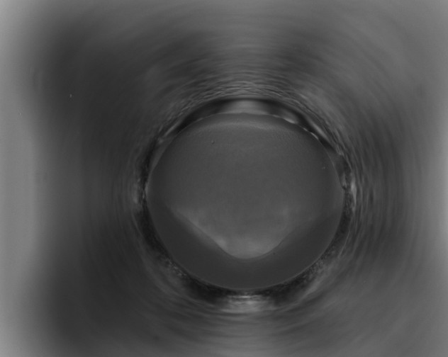 X0000094940316200712061236