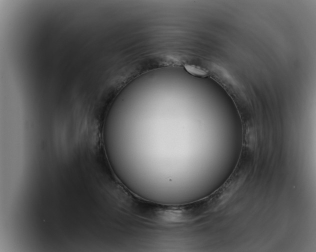 X0000094940318200712061236