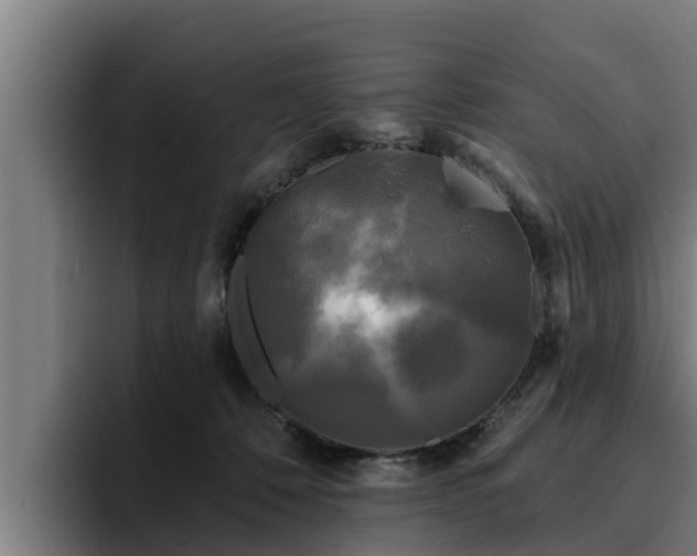 X0000094940320200712061236