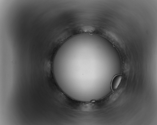 X0000094940321200712061236