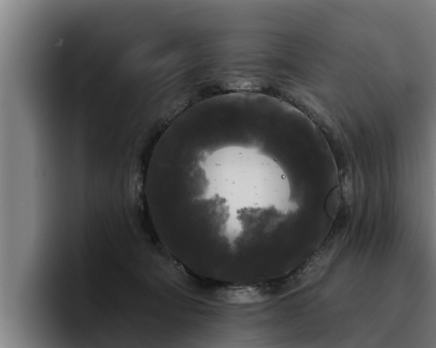 X0000094940322200712061236