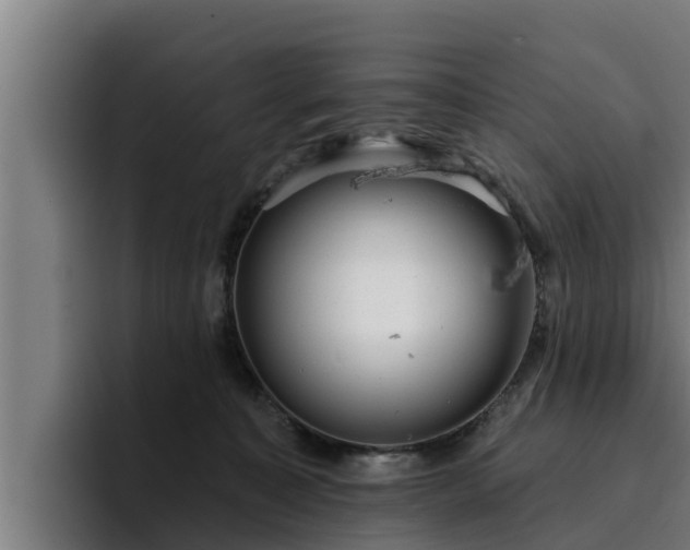 X0000094940323200712061236