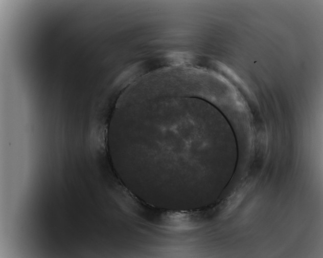 X0000094940325200712061236