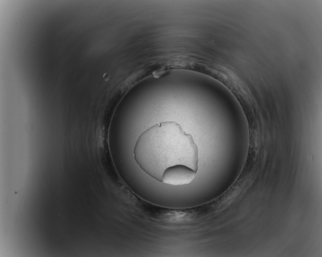 X0000094940326200712061236