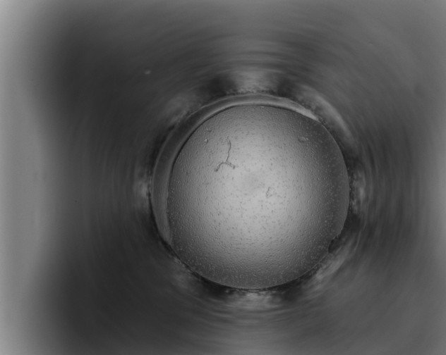 X0000094940329200712061236