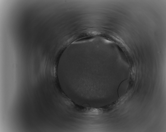 X0000094940330200712061236