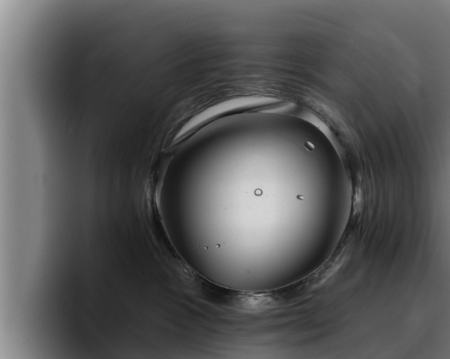 X0000094940333200712061236