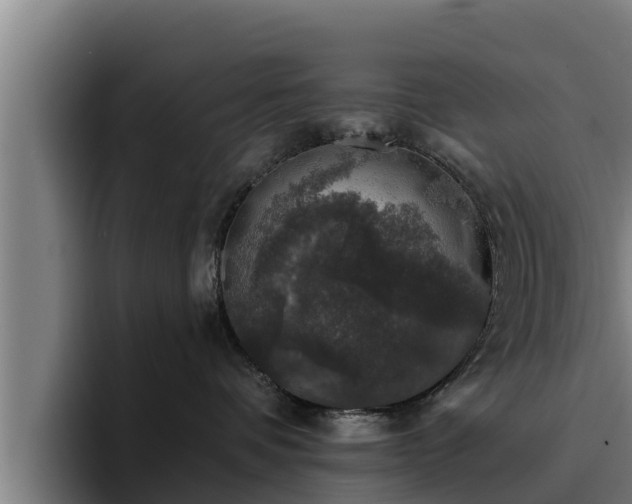 X0000094940336200712061236