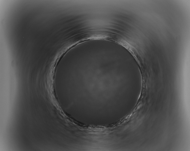 X0000094940337200712061235