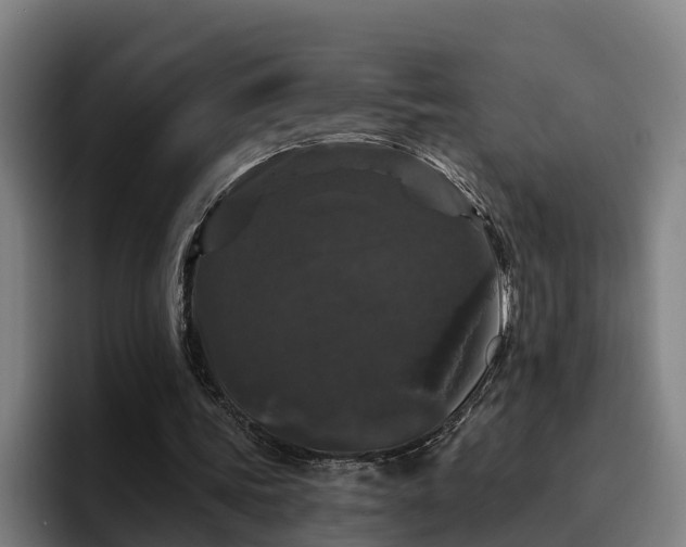 X0000094940339200712061235