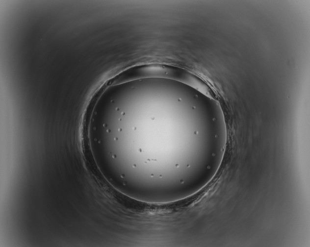 X0000094940340200712061235