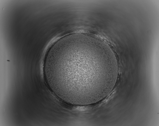 X0000094940341200712061235