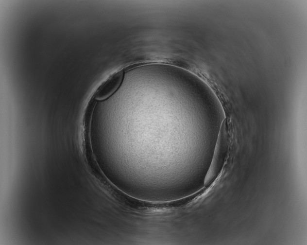 X0000094940342200712061235