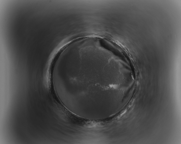 X0000094940343200712061235