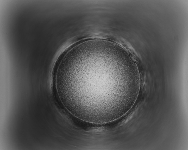 X0000094940344200712061235