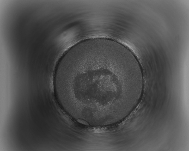 X0000094940345200712061235