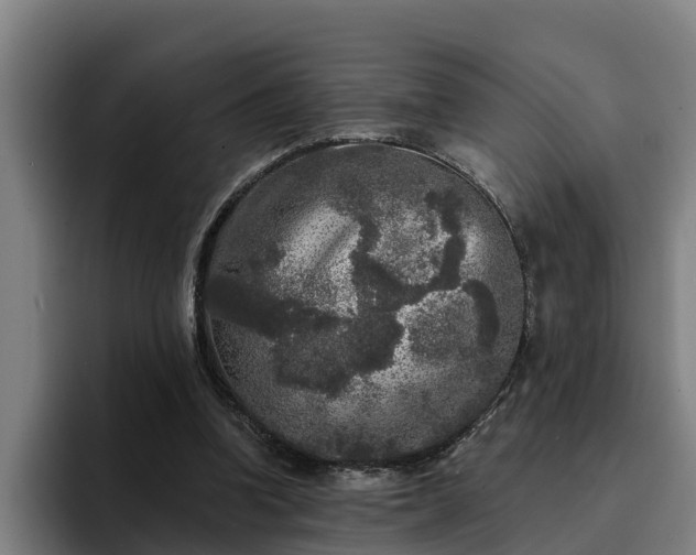 X0000094940346200712061235