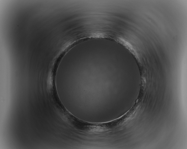 X0000094940347200712061235