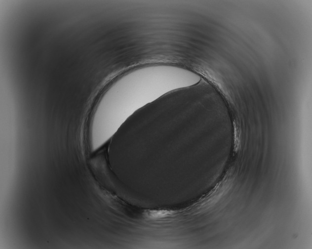 X0000094940348200712061236