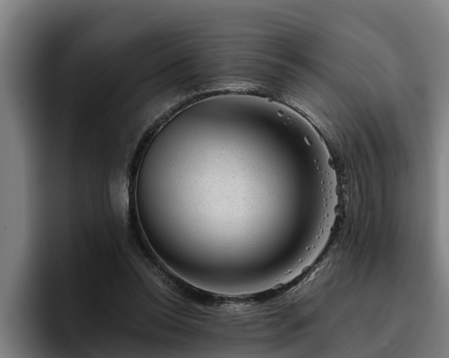 X0000094940350200712061236